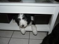 Mum i think this bed is a bit too small